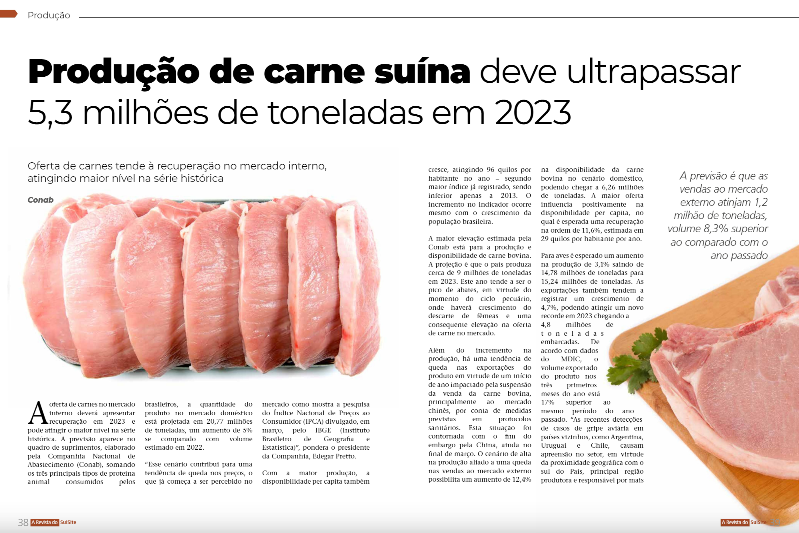 Perspectivas de baixa para um ano de recordes nos preços carne suína -  Artigos - 3tres3, A página do suíno