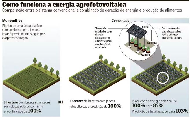 Sistema desenvolvido por pesquisadores alemães gera aumento de produtividade — Foto: Arte: Valor