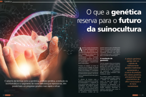 imagem04 imagem04