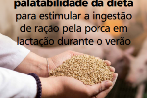 sui4 sui4